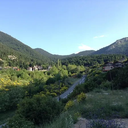 Πανσιόν Teresa Country *